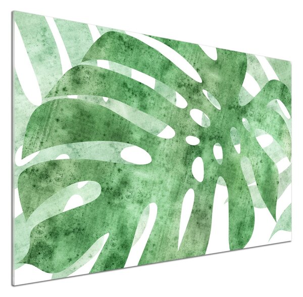 Panou perete bucătărie Monstera