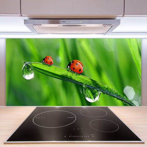 Panou sticla bucatarie Ladybird Beetle Floral Verde Roșu Negru