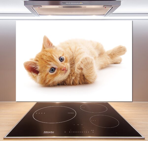 Sticlă pentru bucătărie Red Cat