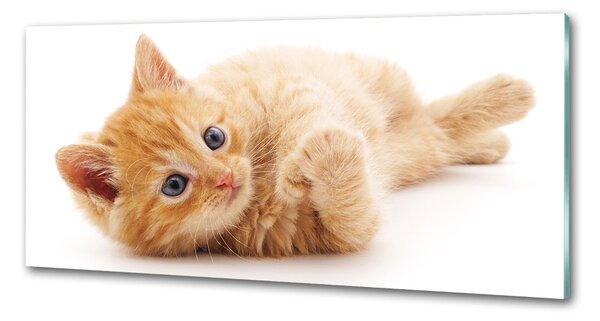 Sticlă pentru bucătărie Red Cat