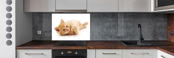 Sticlă pentru bucătărie Red Cat