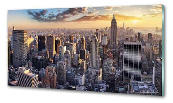 Panou de bucătărie New York pasăre de zbor