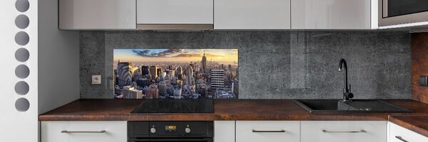 Panou de bucătărie New York pasăre de zbor