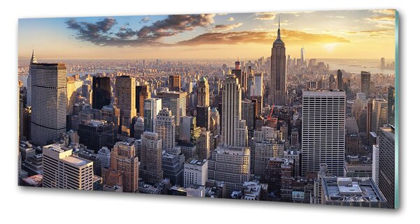 Panou de bucătărie New York pasăre de zbor