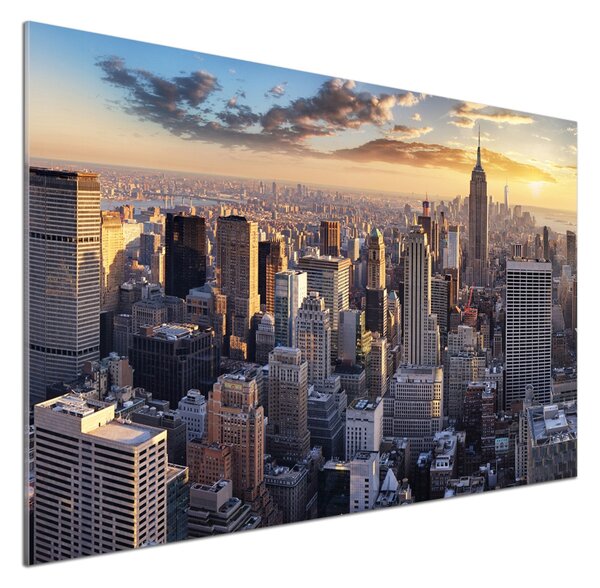 Panou de bucătărie New York pasăre de zbor