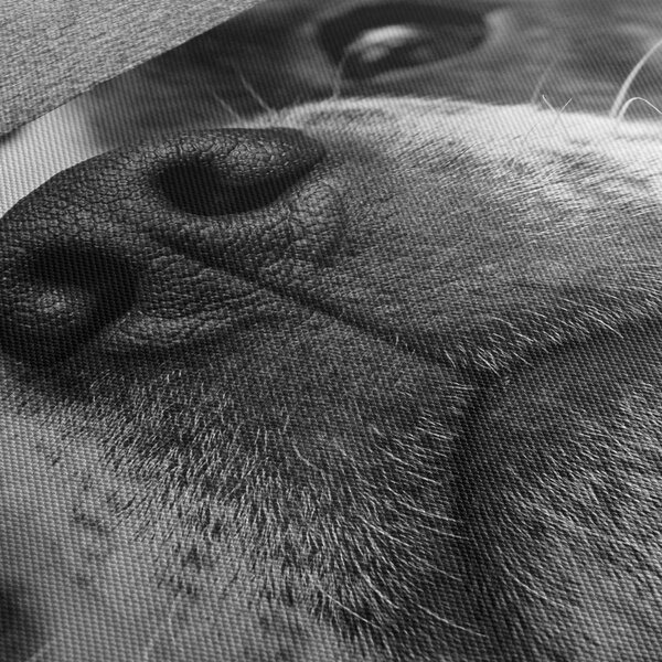 Tablou cu câine (90x60 cm)