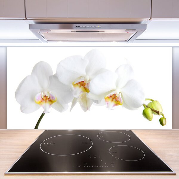Panou sticla bucatarie Flori Floral alb