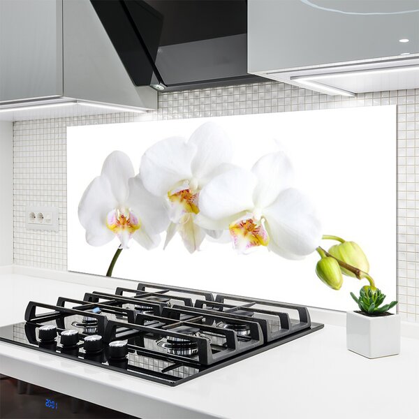 Panou sticla bucatarie Flori Floral alb