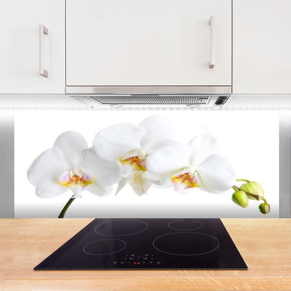 Panou sticla bucatarie Flori Floral alb