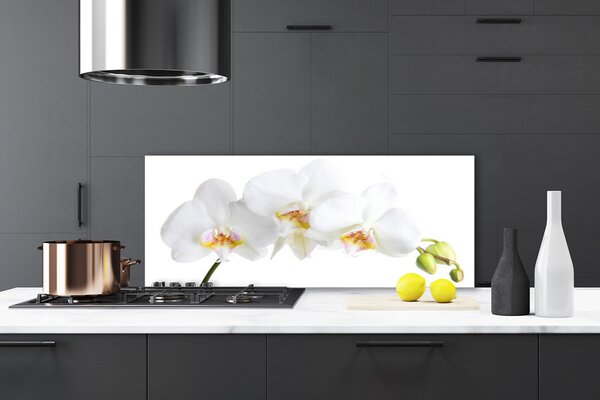 Panou sticla bucatarie Flori Floral alb