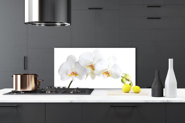 Panou sticla bucatarie Flori Floral alb