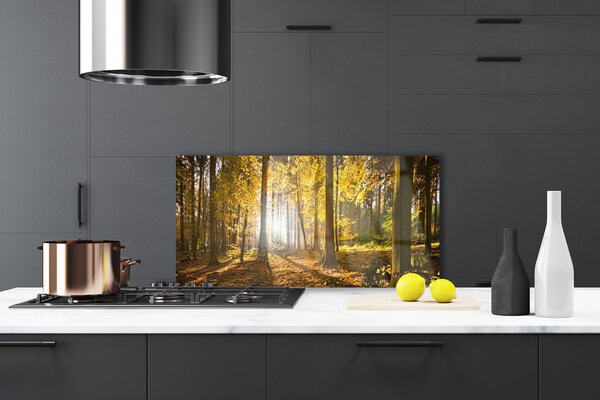 Panou sticla bucatarie Natural Pădurea Verde Maro