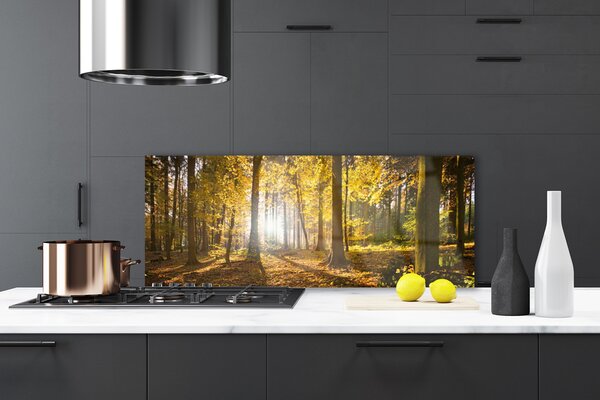 Panou sticla bucatarie Natural Pădurea Verde Maro