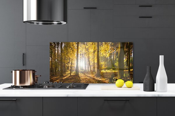 Panou sticla bucatarie Natural Pădurea Verde Maro