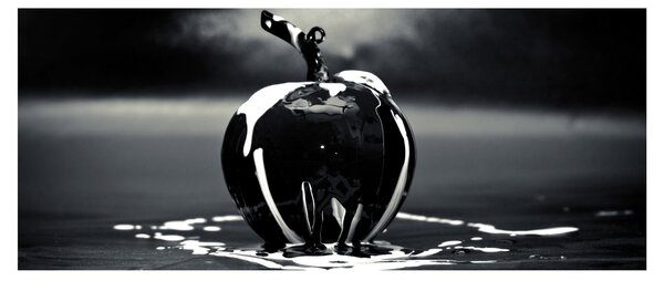Tablou cu mărul negru (120x50 cm)