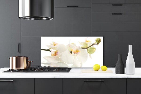 Panou sticla bucatarie Flori Floral alb