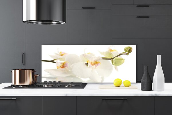 Panou sticla bucatarie Flori Floral alb