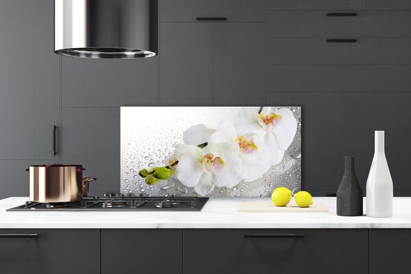 Panou sticla bucatarie Flori Floral alb