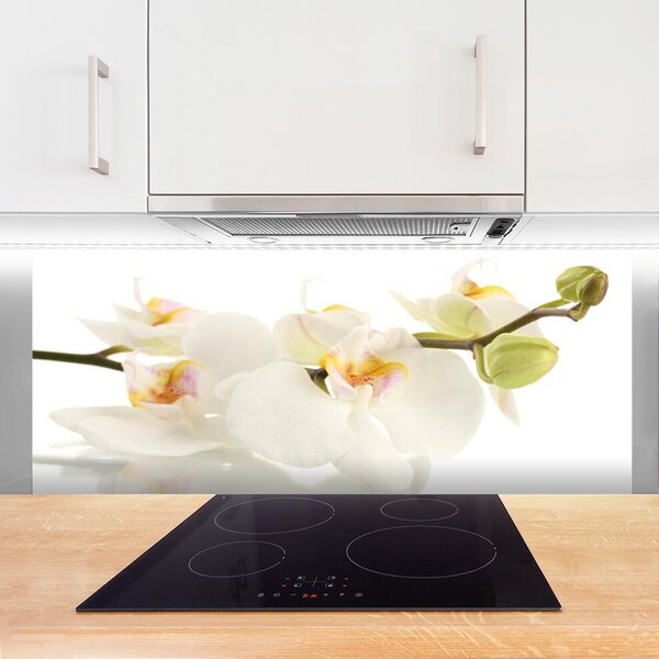 Panou sticla bucatarie Flori Floral alb