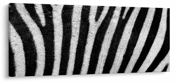 Tablou cu piele de zebră (120x50 cm)