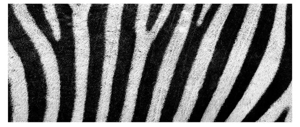 Tablou cu piele de zebră (120x50 cm)