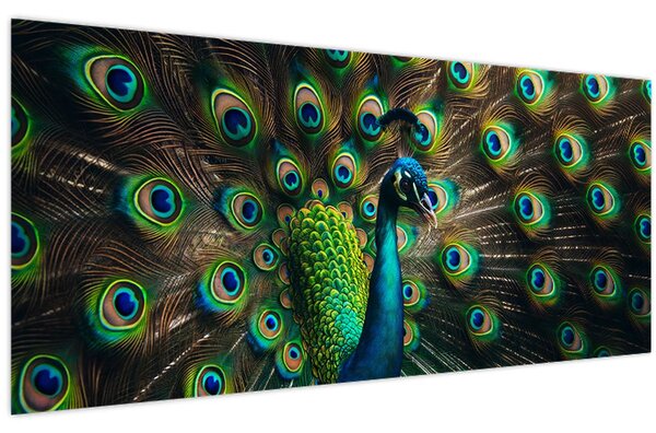 Tablou – Păun (120x50 cm)