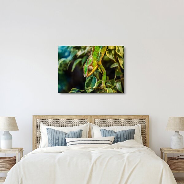 Tablou cu cameleon (70x50 cm)
