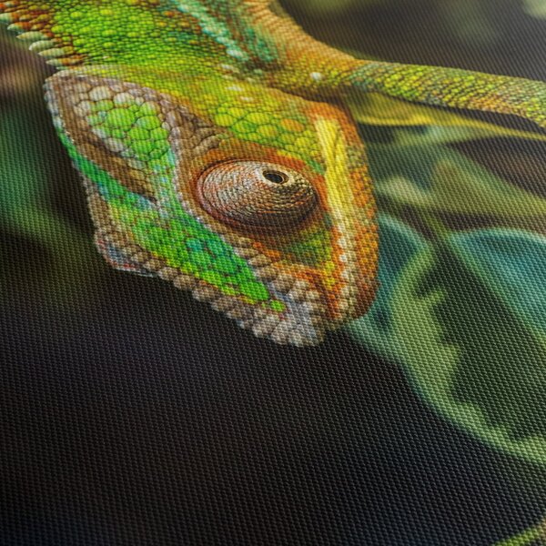 Tablou cu cameleon (90x60 cm)