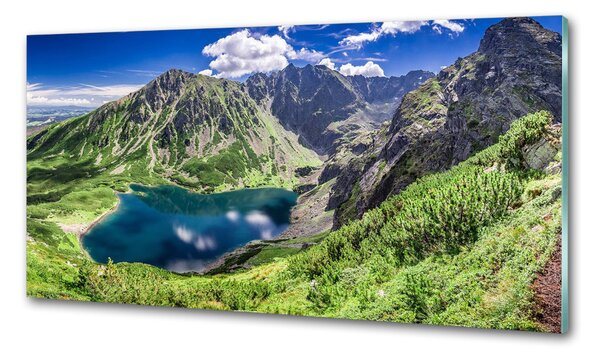 Panou sticla securizata bucatarie Negru iaz Tatry
