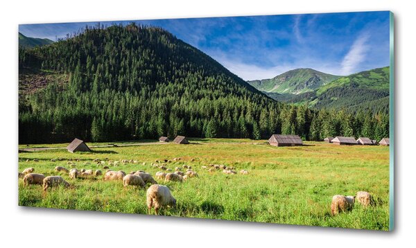 Panou sticla securizata bucatarie Oi în munții Tatra