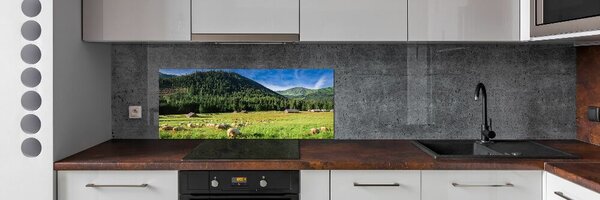 Panou sticla securizata bucatarie Oi în munții Tatra