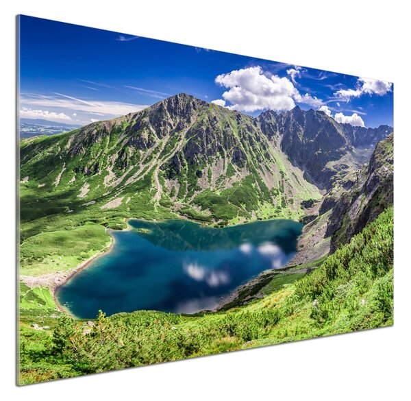 Panou sticla securizata bucatarie Negru iaz Tatry