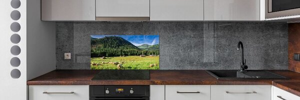 Panou sticla securizata bucatarie Oi în munții Tatra