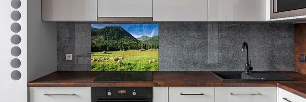 Panou sticla securizata bucatarie Oi în munții Tatra