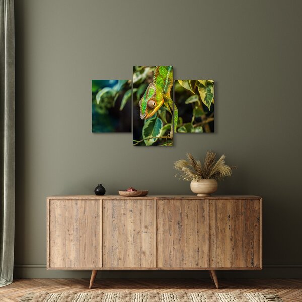 Tablou cu cameleon (90x60 cm)