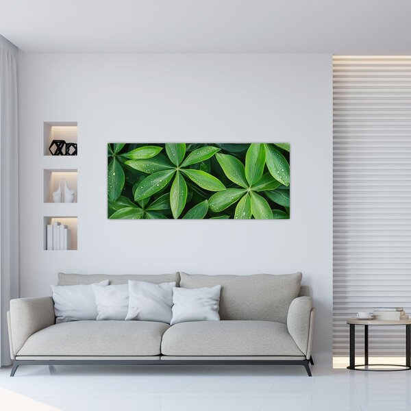Tablou - Frunze cu picături de rouă (120x50 cm)