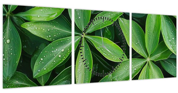 Tablou - Frunze cu picături de rouă (cu ceas) (90x30 cm)