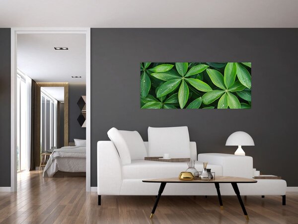 Tablou - Frunze cu picături de rouă (120x50 cm)