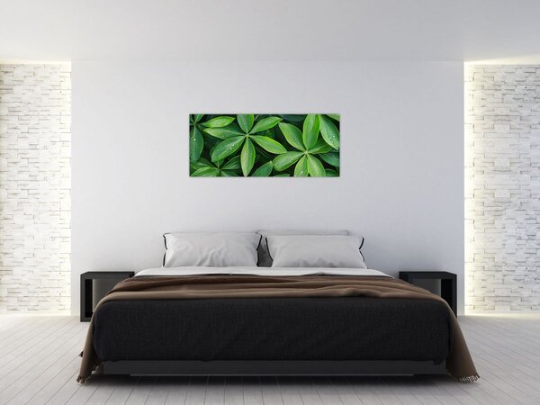 Tablou - Frunze cu picături de rouă (120x50 cm)