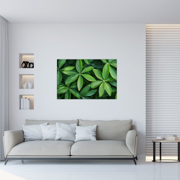 Tablou - Frunze cu picături de rouă (90x60 cm)