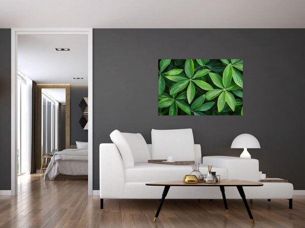Tablou - Frunze cu picături de rouă (90x60 cm)