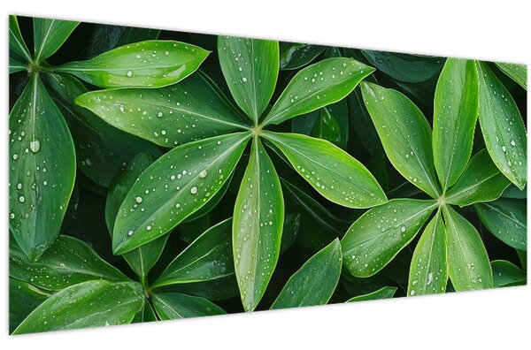 Tablou - Frunze cu picături de rouă (120x50 cm)