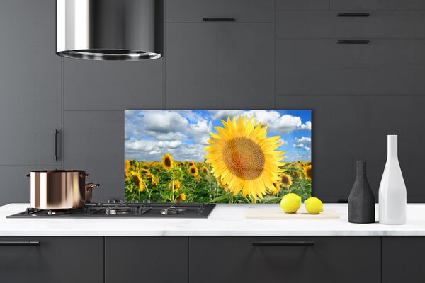 Panou sticla bucatarie Floarea soarelui Floral Galben Maro
