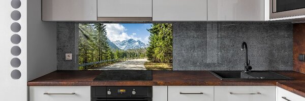Panou sticla securizata bucatarie Road Tatry