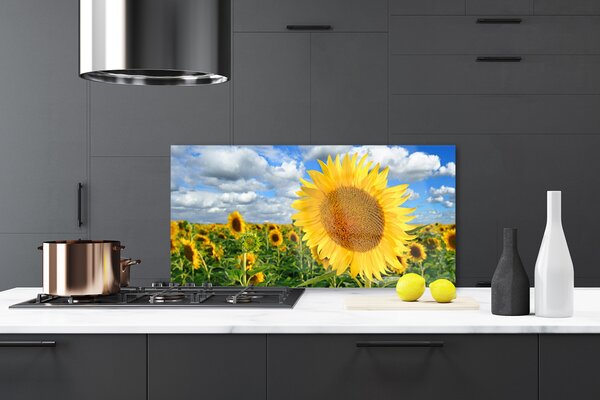 Panou sticla bucatarie Floarea soarelui Floral Galben Maro
