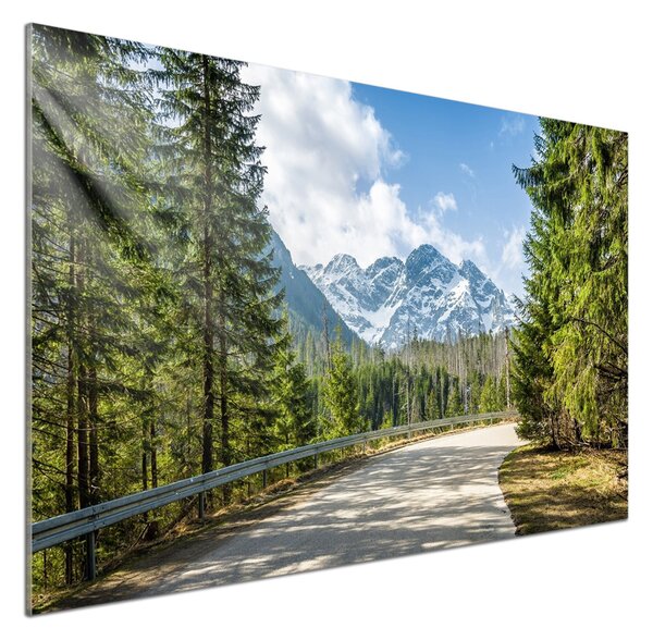 Panou sticla securizata bucatarie Road Tatry