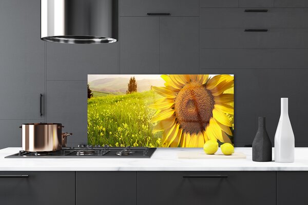 Panou sticla bucatarie Floarea soarelui Floral Galben Maro