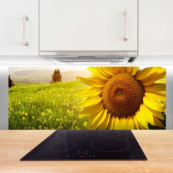 Panou sticla bucatarie Floarea soarelui Floral Galben Maro