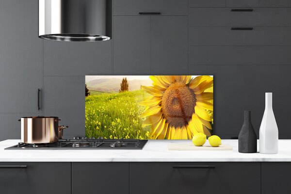 Panou sticla bucatarie Floarea soarelui Floral Galben Maro