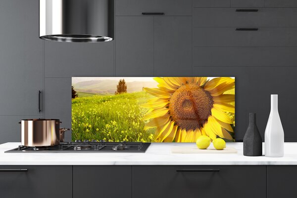 Panou sticla bucatarie Floarea soarelui Floral Galben Maro